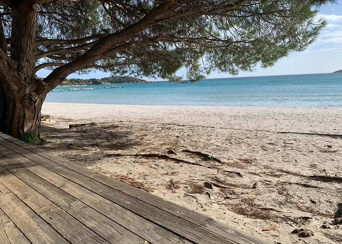 F2 Vecchio Vue Sur Les Salines Porto-Vecchio (Corsica)